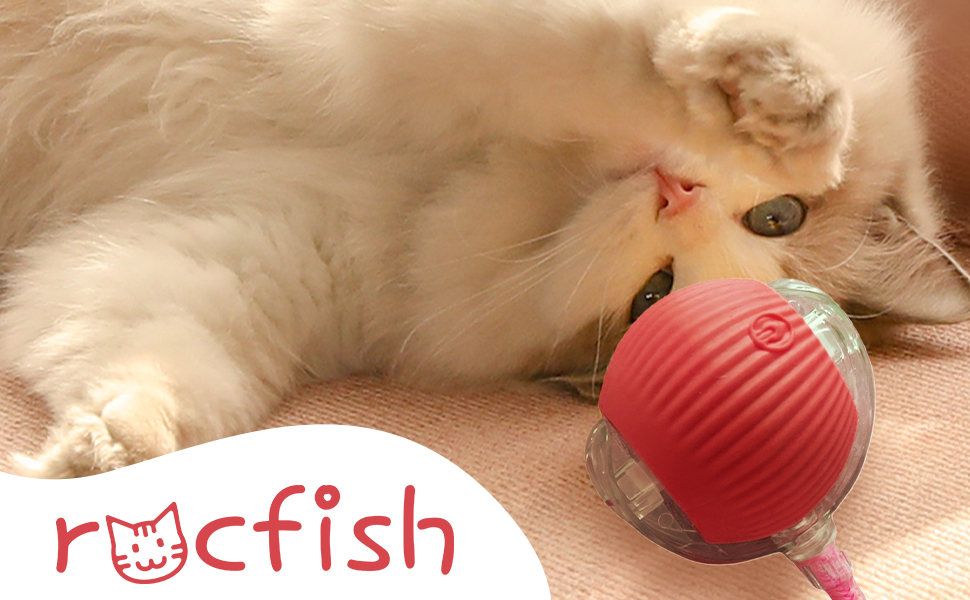Cat Toy Ball