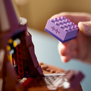 76429_Harry Potter lego choixpeau magique parle