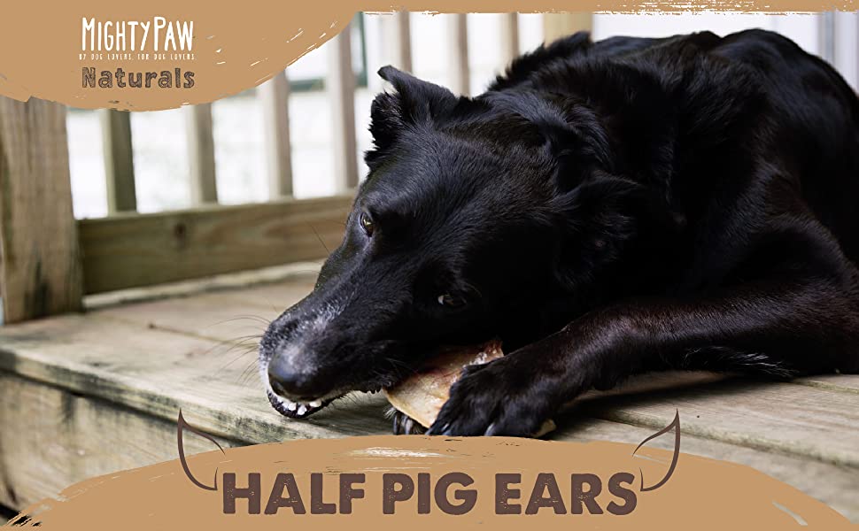 Mighty Paw Pig Ears for Dogs All Natural Dental Dog Treats. Single