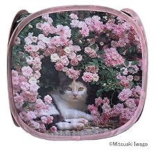 トイグラフ　カネゴン家族　　　⭐蓄光⭐　新品未開封 Amazon | ねこのきもち 猫テント 猫ハウス 岩合光昭「ねこ22