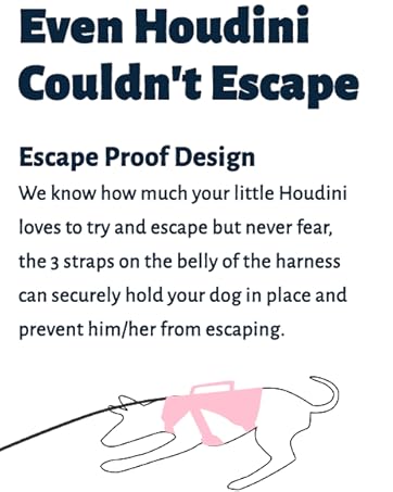 Escape proof dog harness