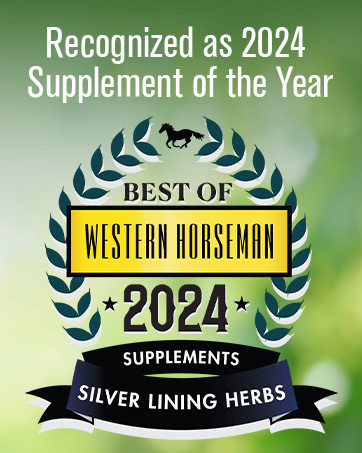 Silver Lining Herbs for Horses Brand Story Carousel horse supplement horse feed horse health