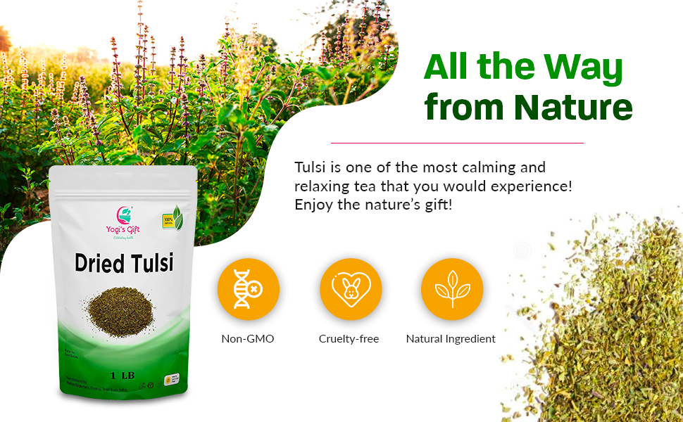 Herbs, Spices & Seasonings