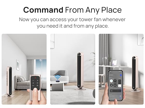 fan with remote