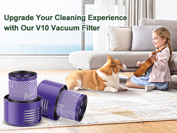 naさん専用 Amazon.com: 2 Pack V10 Filters Replacement for Dyson Cyclone