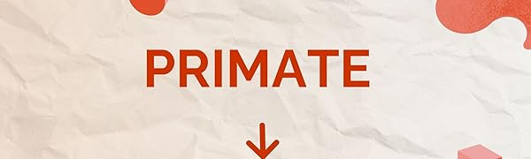 200W Car Power Inverter with 2 USB Ports (18W & 15W QC3.0), 1 USB-C 30W PD, 2 AC Universal Outlets, 12V DC to 220V AC Converter for Laptop, Phone, and Electronics Charging (Plug Car Charger) 41 Primate