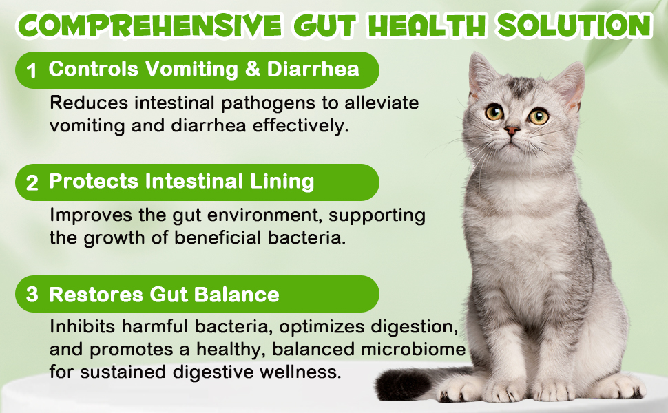 3 in 1 cat probiotic drops