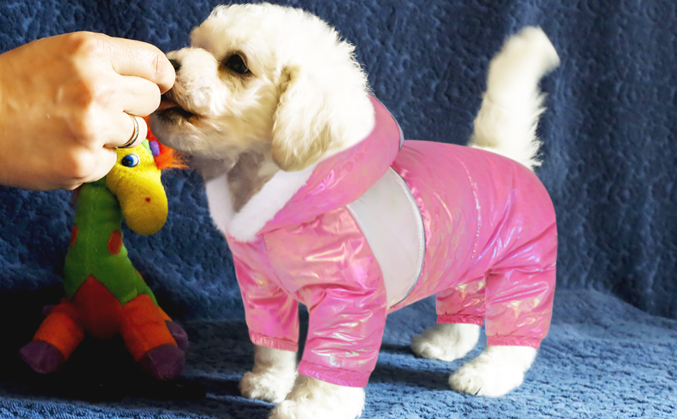 Queenmore Dog Snow Jacket Puffy Coat Cold Weather Outdoor