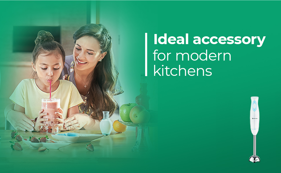 Buy Bajaj Stainless Steel Hb 16 Hand Blender Powerful 300W Dc Motor