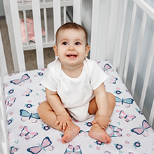 Two Baby Girl Crib Sheets - My Little Zone Butterfly Collection