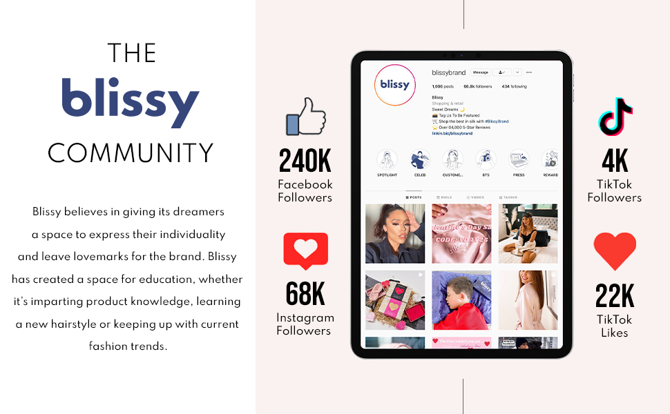 Blissy Silk Pillowcase 100 Pure Mulberry Silk 22 Momme