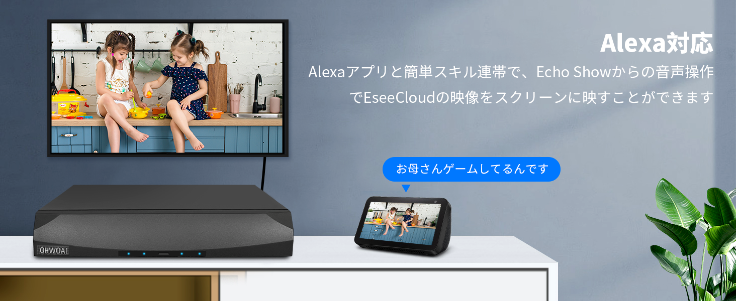 poe給電防犯カメラ