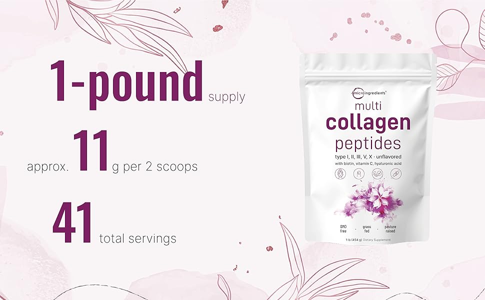 Multi Collagen Peptide Powder