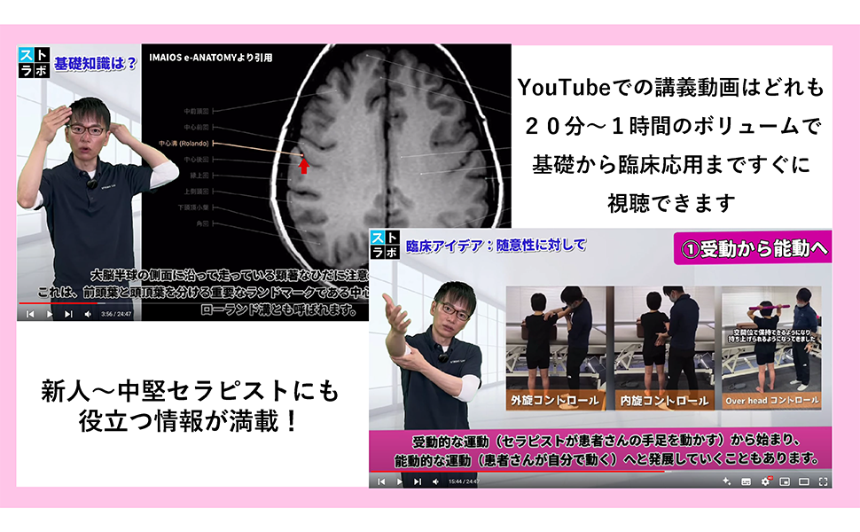 脳の機能解剖とリハビリテーション | 金子 唯史 |本 | 通販 | Amazon