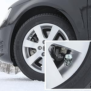car tyre Valve dust proof covers