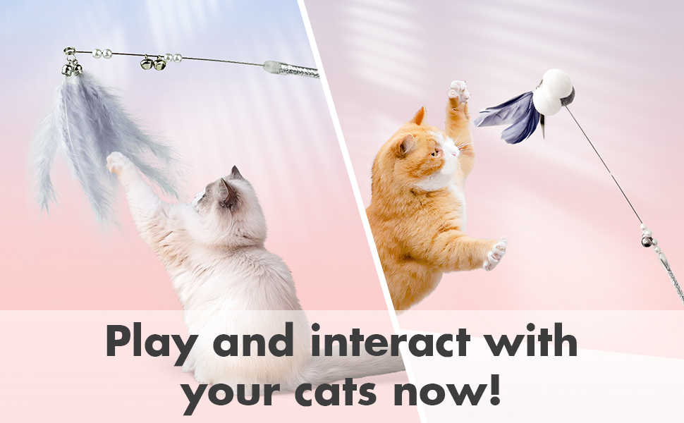 cat wand toys for bored indoor adult cats