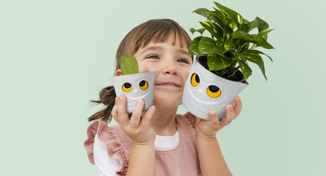 cute owl plant pots indoor
