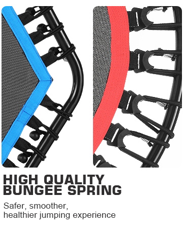 bungee spring