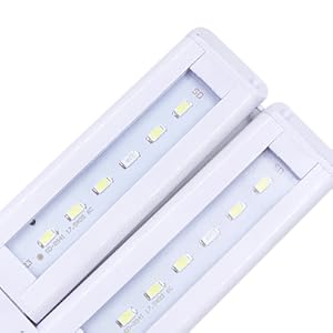 aquarium light 