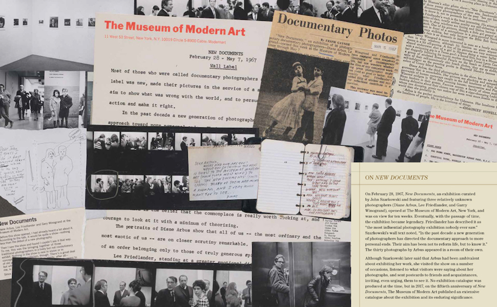 Amazon.com: Diane Arbus Documents: 9781644230657: Arbus