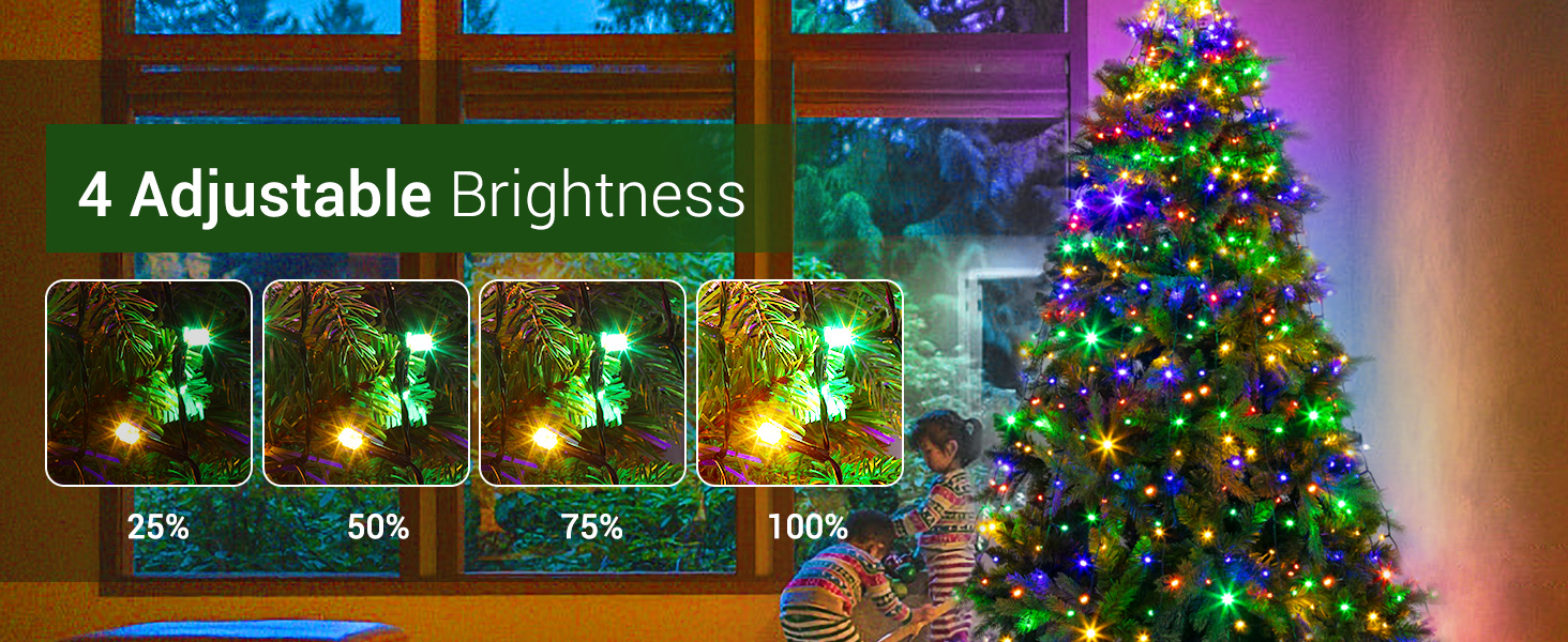 4 Brightness Level