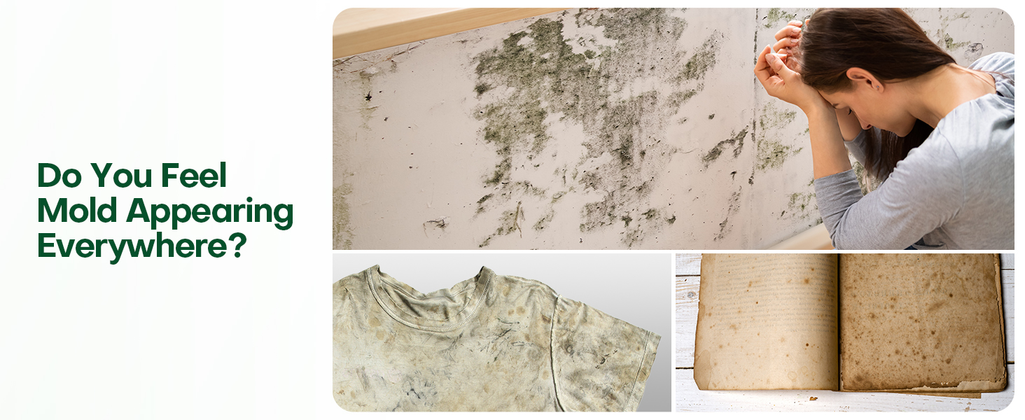 a collage of photos showing a dirty, dirty, and green mold on a wall.