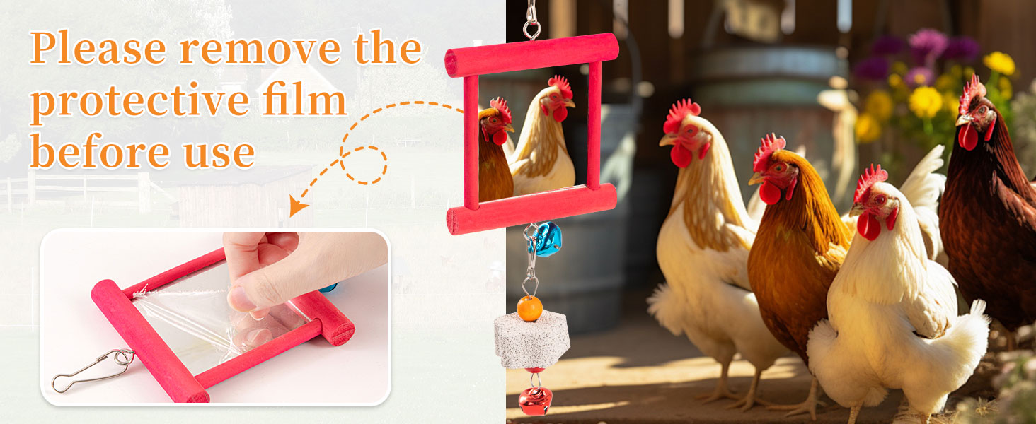 chicken toys for your chickens