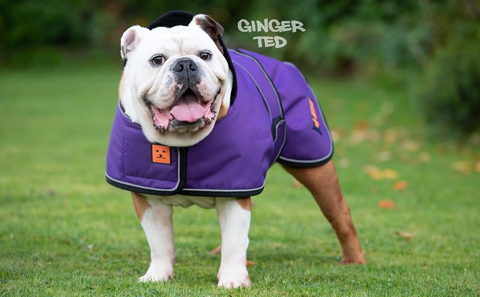 Ginger Ted Waterproof Bulldog Frenchie Dog Coat size 18"/46cm Purple
