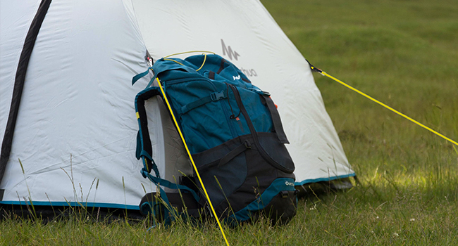 WORKPRO 8-Piece Bungee Cords with Aluminum Carabiner