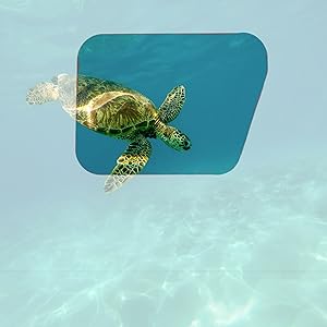 underwater beauty