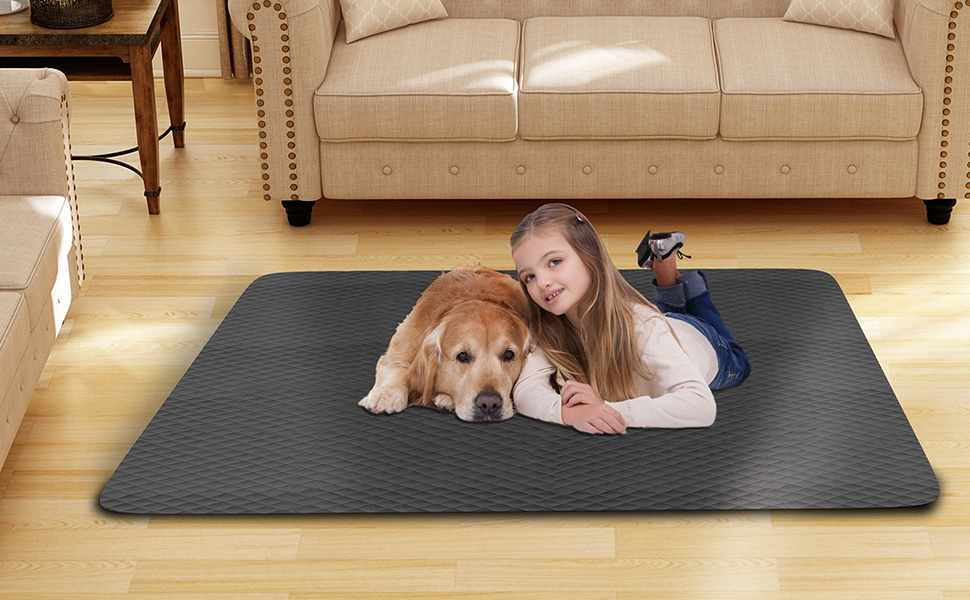 Dog Pee Pad