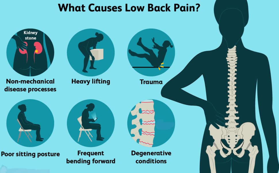 waist belt back pain women relief backpain ortho ladies support men kamar dard