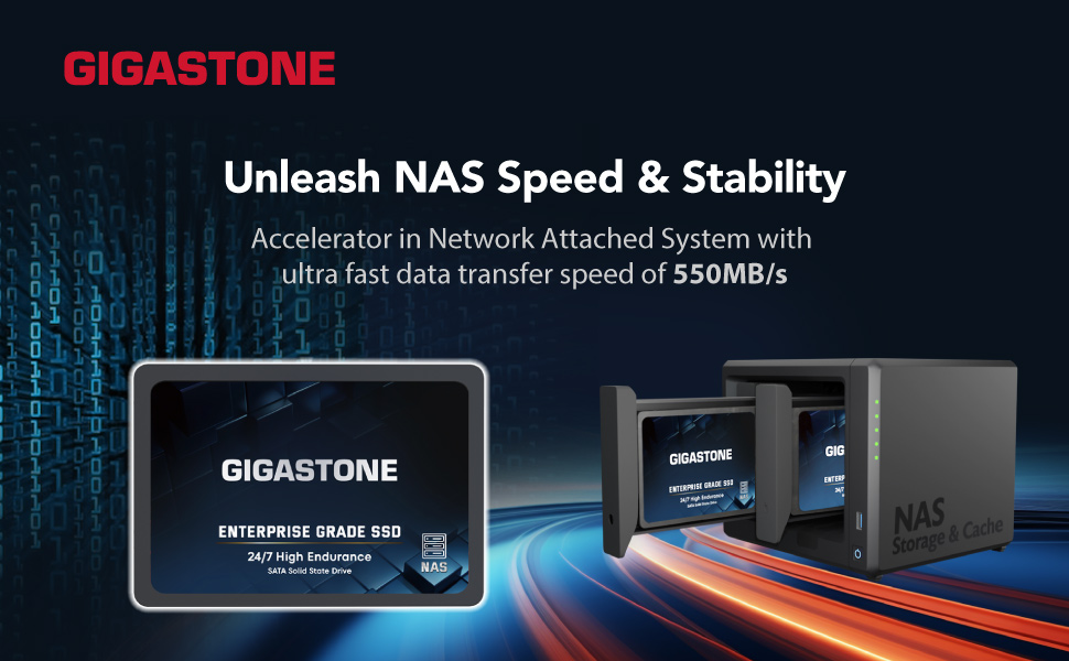 Gigastone Enterprise SSD 512GB NAS SSD Drive Cache (2Pack