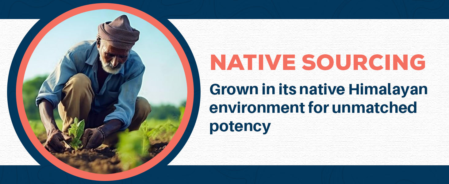 supplements women gummies patches ayahuasca para ashwaganda aswaghanda factor ksm 66 vitamins