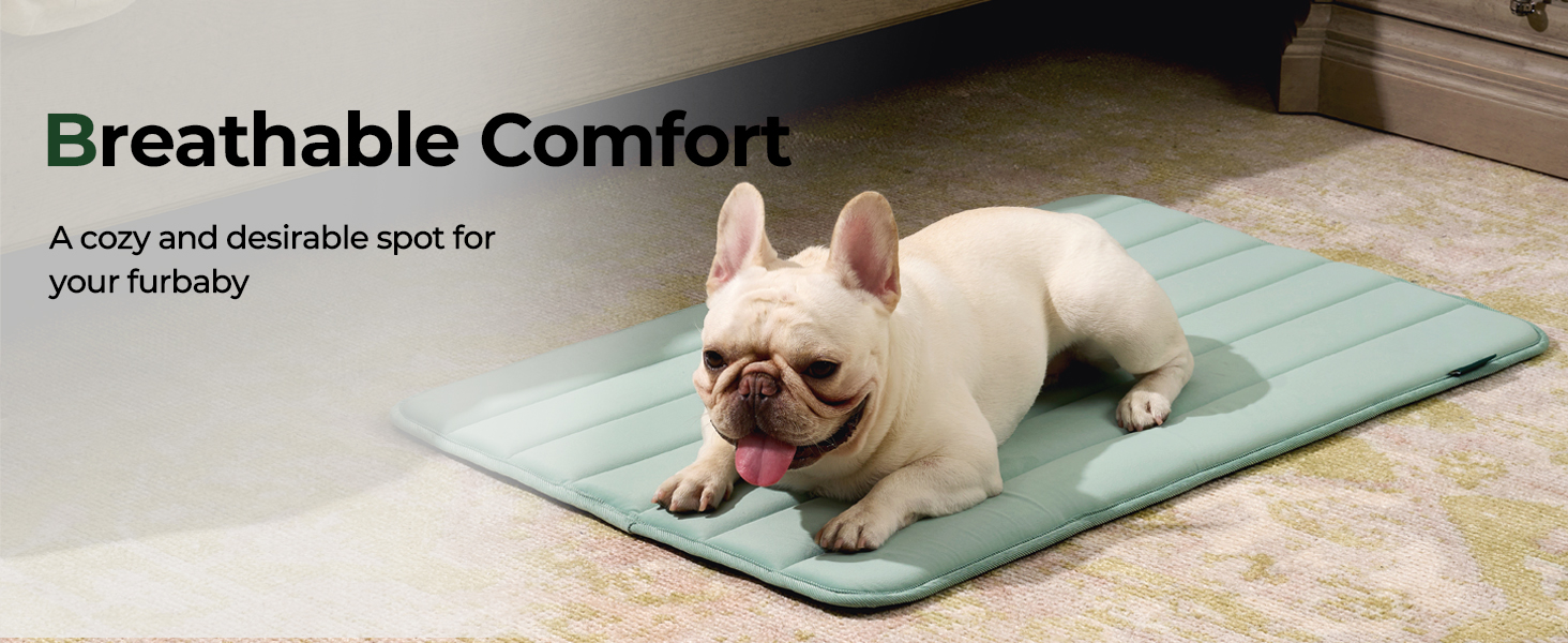 BALANCE Dog Crate Pad, Dog Foam Crate Mat Kennel Pad