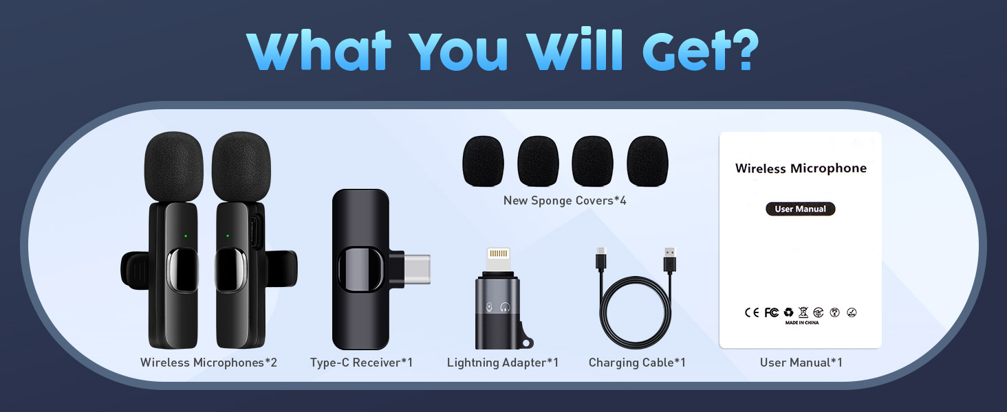 mini mic