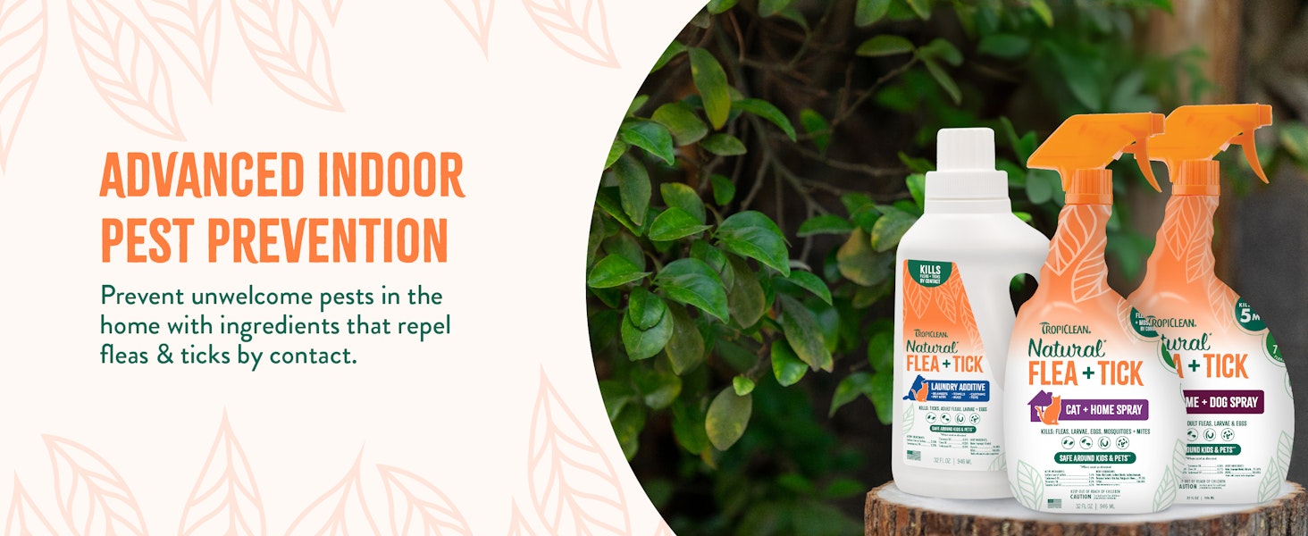 Dog &amp; Bedding Spray