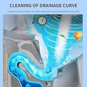 Toilet Cleaner