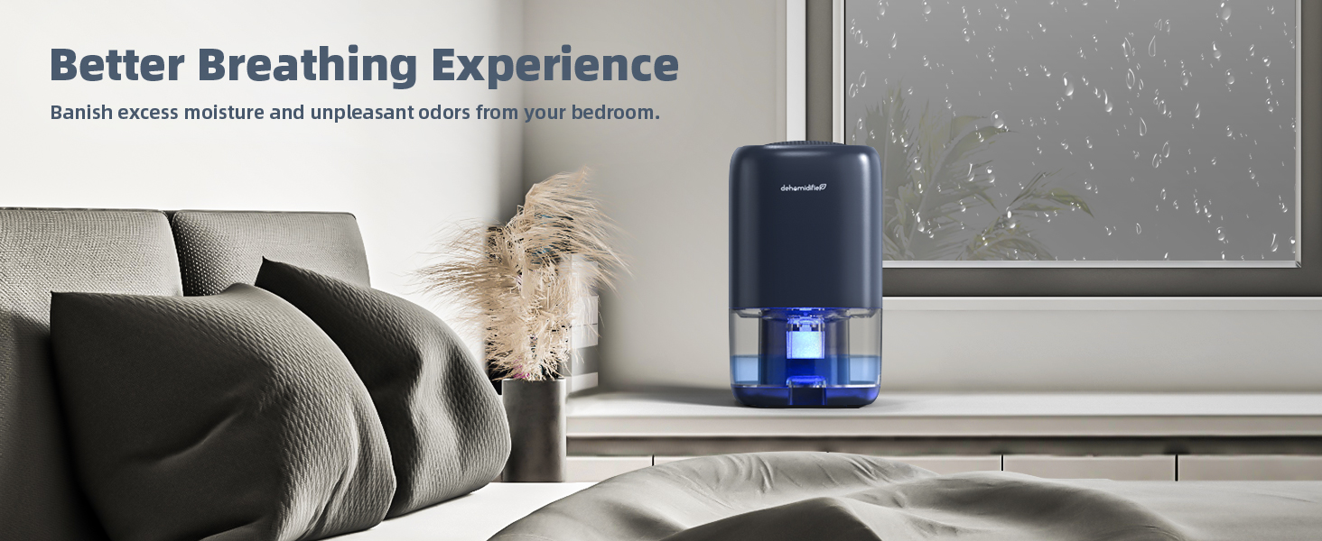 dehumidifier for small room