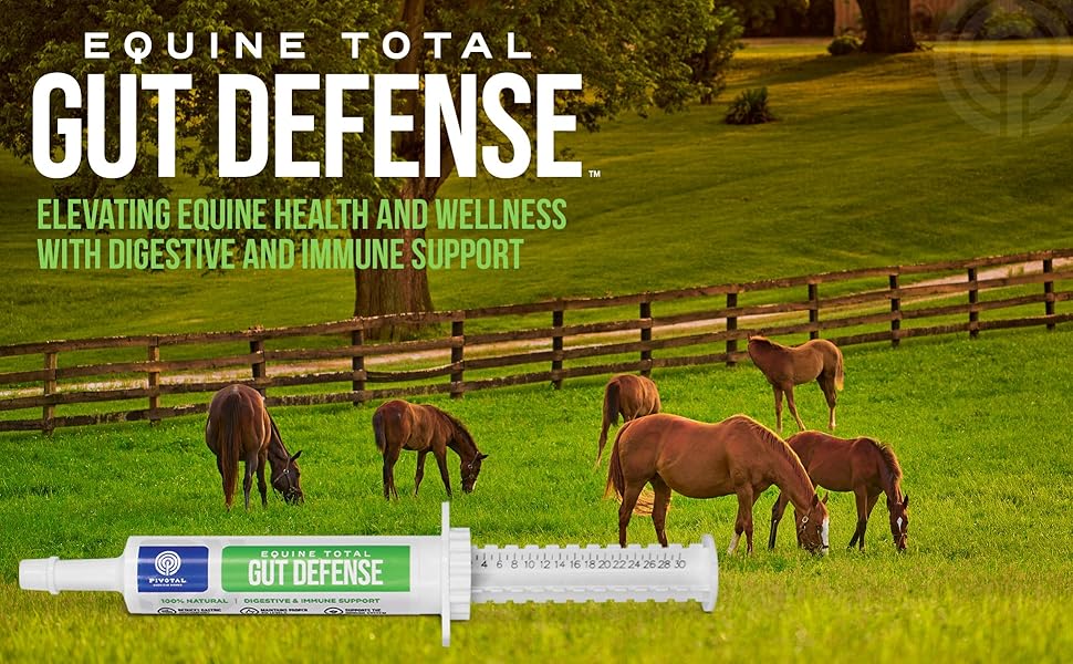Elevating Equine Health and Wellness with Digestive and immune support