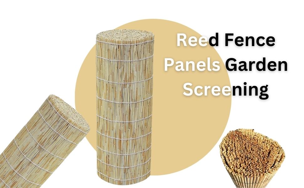 AAMEN Reed Fence Panels Garden Screening, Windscreen Bamboo Fencing