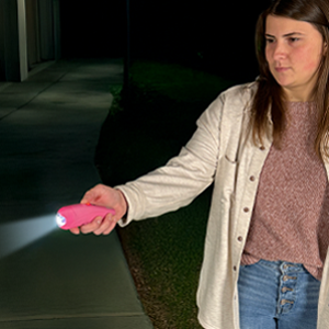 Small manufacture image 5