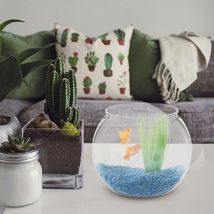 goldfish bowl