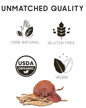 chaga turkey tail lions mane cordyceps reishi mushrooms medicinal