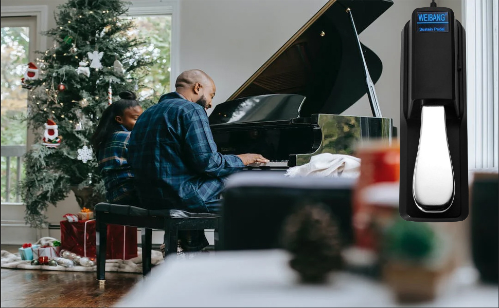 Weibang Sustain Pedal for Keyboard, Antislip Sustain Foot Pedal with