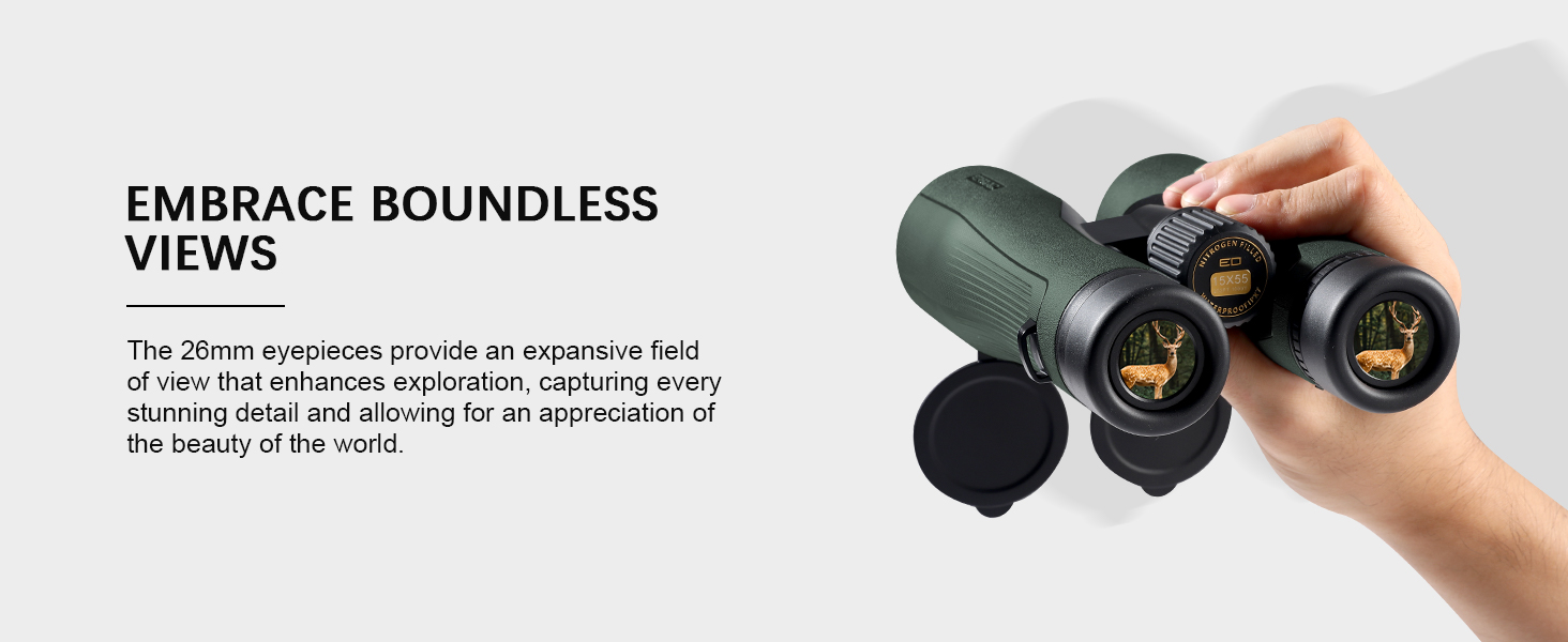 Embrace Boundless Views