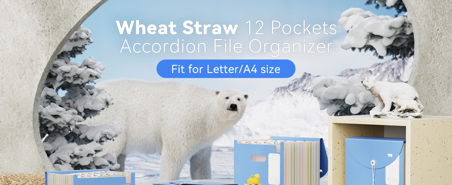 13-Pocket Accordion File Organizer