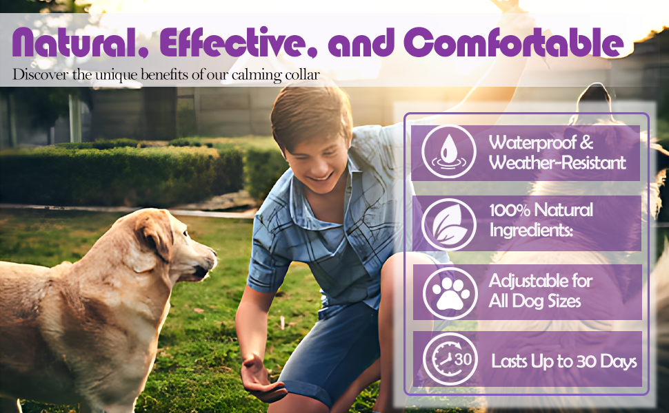 calming collar for dogs