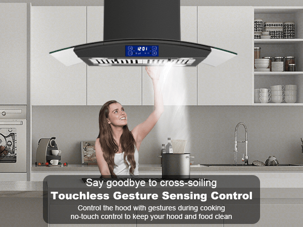 Amazon.com: JOEAONZ 30 Inch Island Range Hood Black 700CFM
