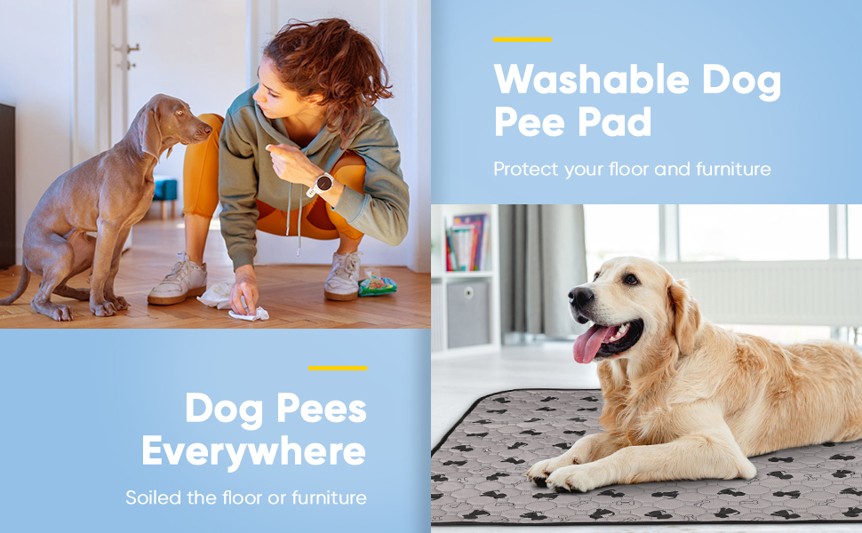 Petbobi 2 Pack Washable Pee Pads for Dogs, Waterproof NonSlip FastAbsorb Reusable